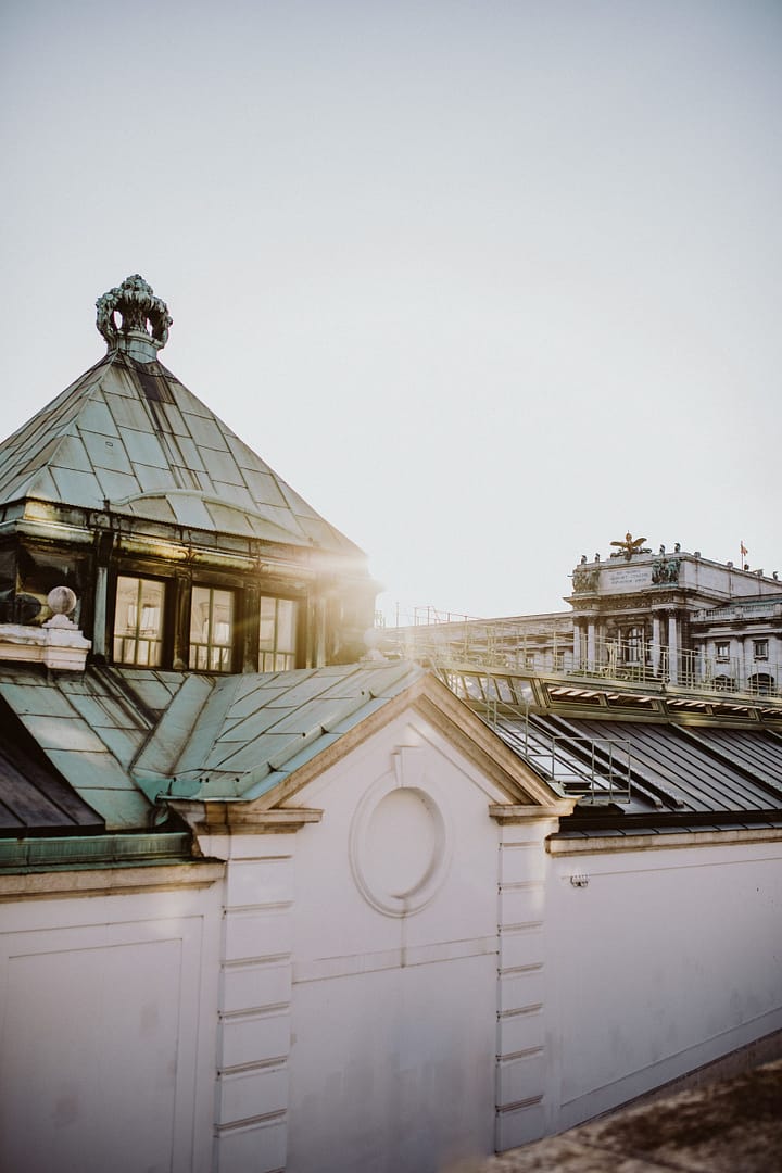 Wedding Palm House Vienna